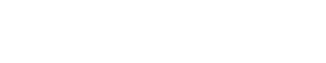 ARTEC INT